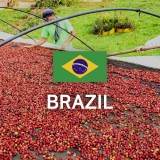 브라질 NY2 FC Cerrado 17/18