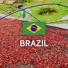 브라질 NY2 FC Cerrado 17/18