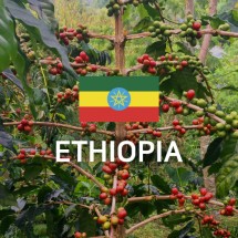 에디오피아 Sidamo G4 Natural